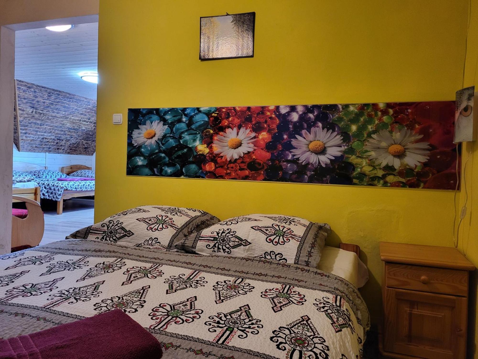 Apartamenty I Pokoje Goscinne Nowita Zakopane Exterior foto